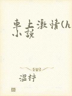 车上激情(h)小说