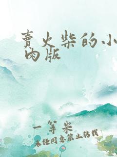 卖火柴的小男孩 肉版