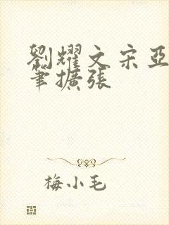 刘耀文宋亚轩用笔扩张