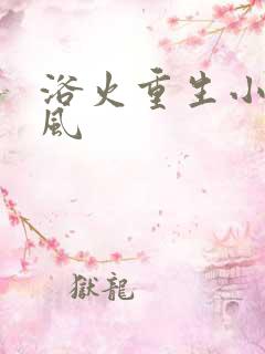 浴火重生小说陈风