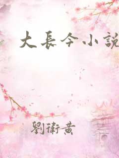 大长今小说下载