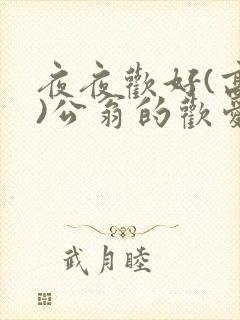 夜夜欢好(高h)公翁的欢爱