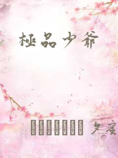 极品少爷