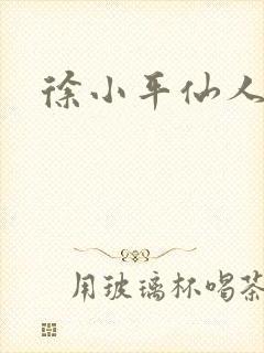 徐小平仙人指路