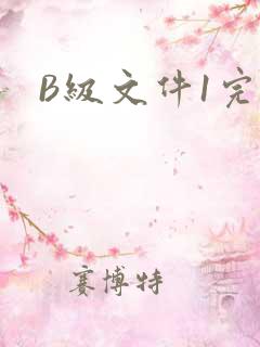 B级文件1完整