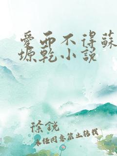 爱而不得苏路顾塬乾小说