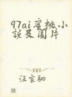 97ai蜜桃小说及图片