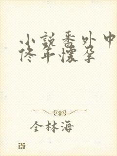 小说番外中结局佟年怀孕