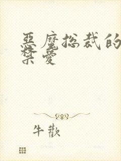 恶魔总裁的一夜禁爱