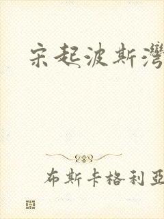 宋起波斯湾