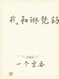 我和琳梵的故事