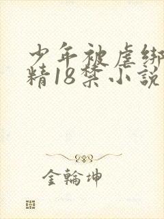 少年被虐绑着榨精18禁小说