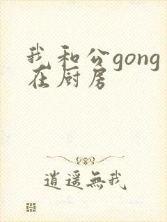 我和公gong在厨房