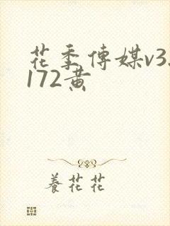 花季传媒v3.172黄