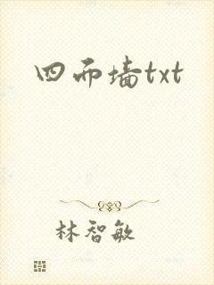 四面墙txt