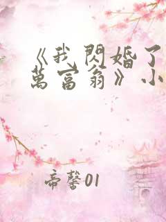 《我闪婚了个亿万富翁》小说