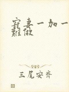 宠妻一加一老婆难做