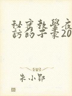 秘密教学夜晚到访的子豪20话