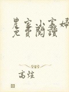 农家小寡妇全文免费阅读