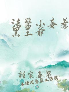 法医小妾惹上腹黑王爷