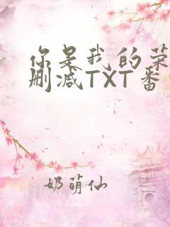 你是我的荣耀未删减TXT番外