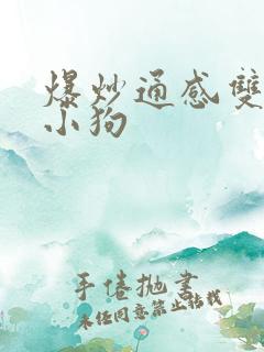 爆炒通感双胞胎小狗