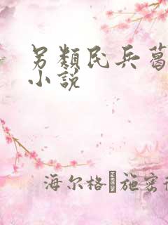 另类民兵葛二蛋小说