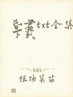 昏君txt全集下载