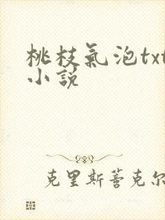 桃枝气泡txt小说