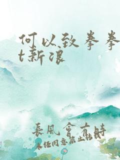 何以致拳拳txt新浪