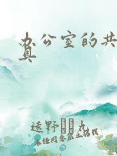 办公室的共享玩具