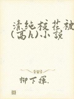 清纯校花被调教(高h)小说