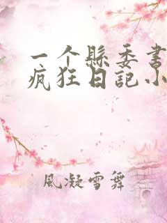 一个县委书记的疯狂日记小说