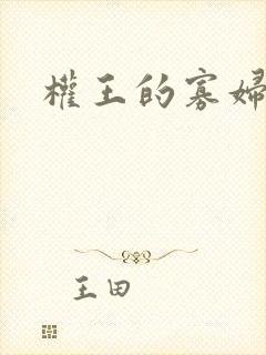 权王的寡妇糖妃