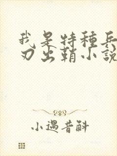 我是特种兵之利刃出鞘小说