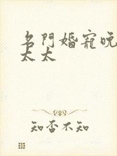 名门婚宠晚安赫太太