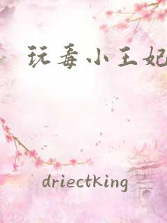 玩毒小王妃