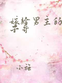 嫁给男主的病秧子哥