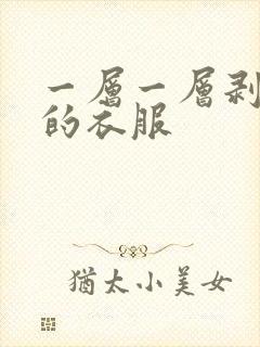 一层一层剥开你的衣服