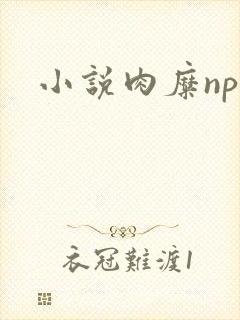 小说肉糜np