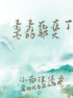 素素死在了最漂亮的那天