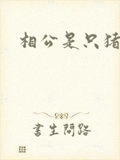 相公是只猪