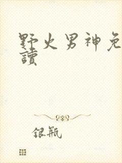 野火男神免费阅读