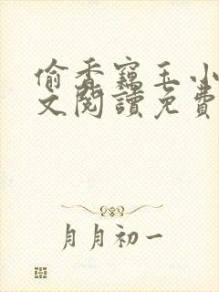 偷香窃玉小说全文阅读免费