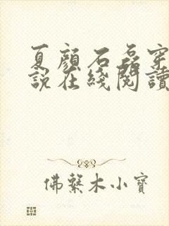 夏颜石磊穿越小说在线阅读