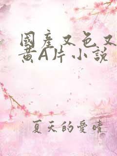 国产又色又爽又黄A片小说