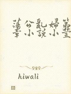 荡公乱妇第51章小说小莹