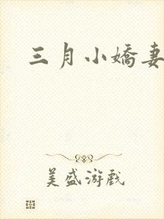 三月小娇妻