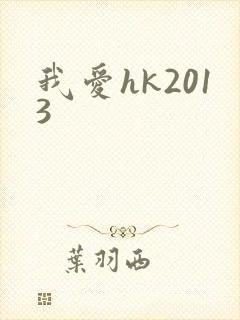 我爱hk2013