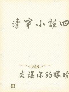 清穿小说四四